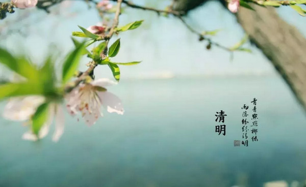 1554342101533108.jpg 配图1 云和数据2019年清明节放假通知.jpg